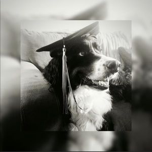 Meet your Posher, Kaitlyn